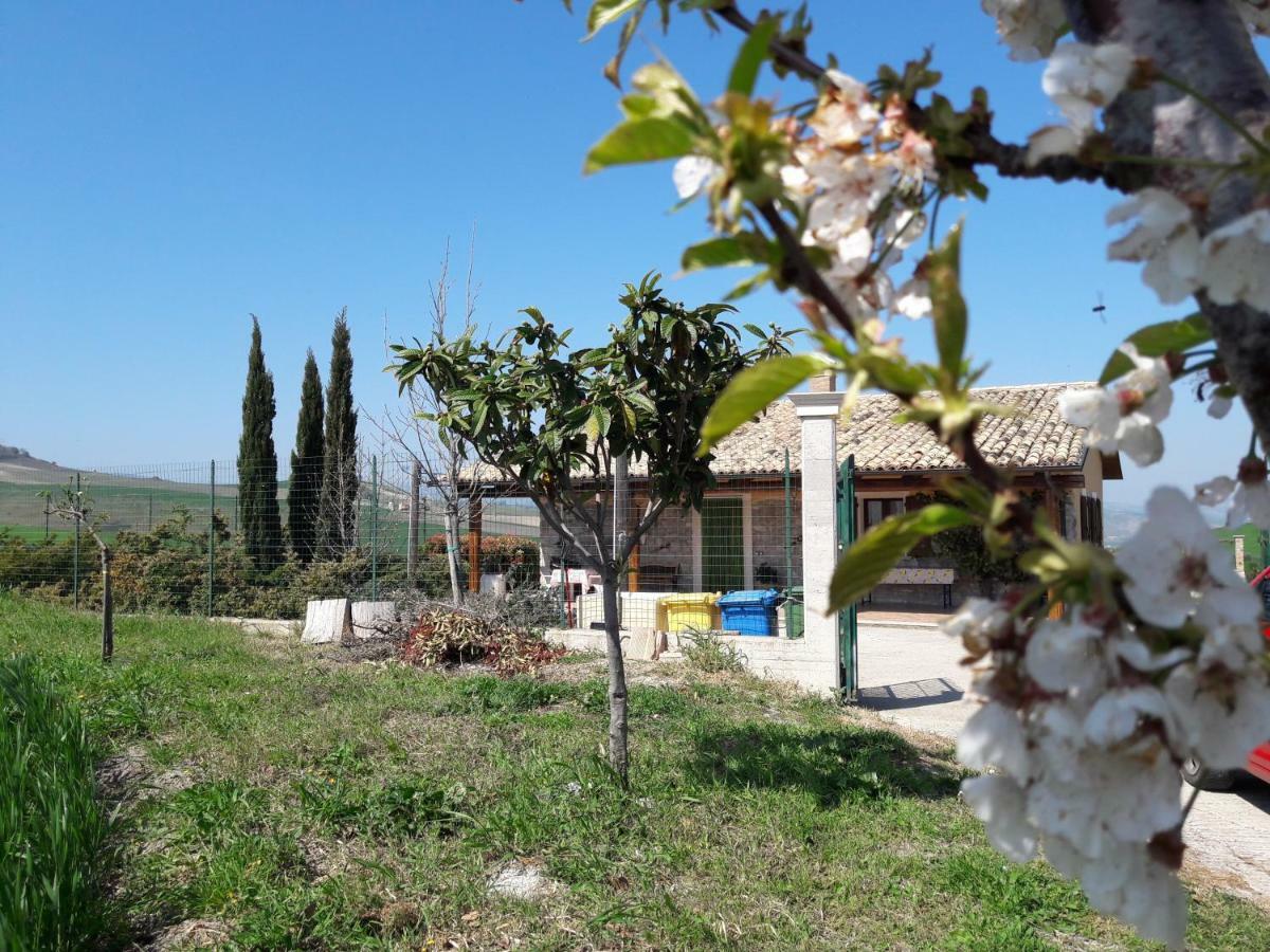 Villa Lemme Montenero di Bisaccia Exterior photo